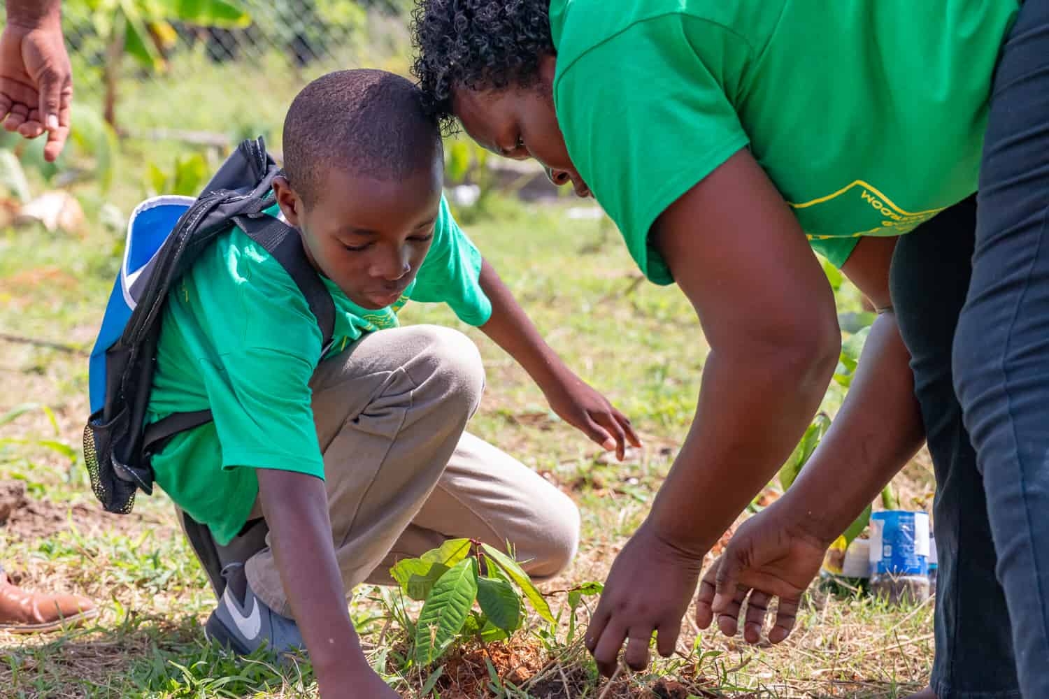 Tree Planting